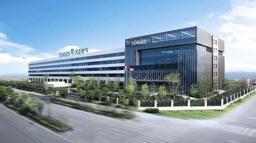 柳市電氣成功上市，“中國電器之都”三巨頭資本市場會(huì)師