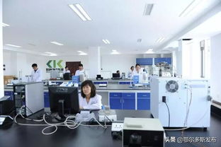 鄂爾多斯再出科技新政 技術(shù)開(kāi)發(fā)與轉(zhuǎn)讓最高補(bǔ)貼3000萬(wàn)，賦能區(qū)域創(chuàng)新高地建設(shè)
